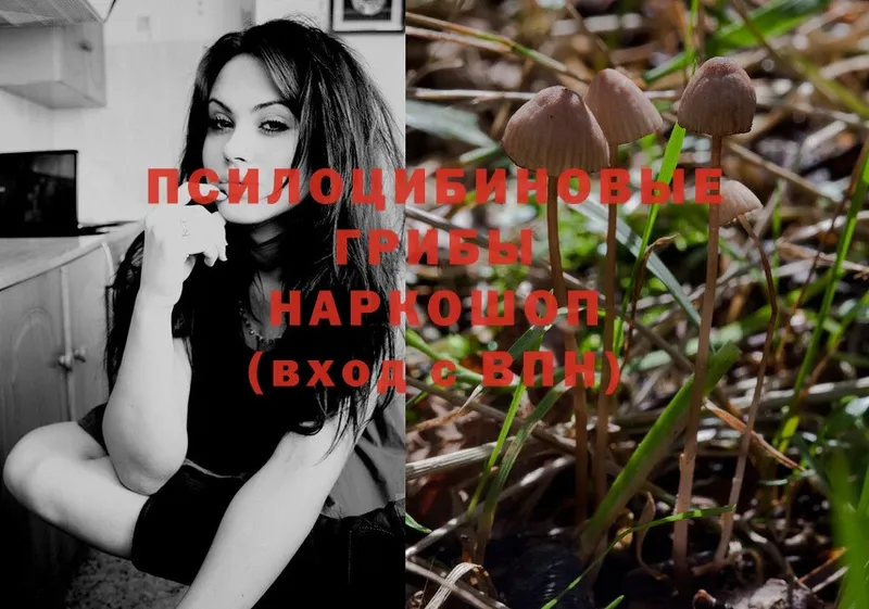 Галлюциногенные грибы Magic Shrooms  Заринск 